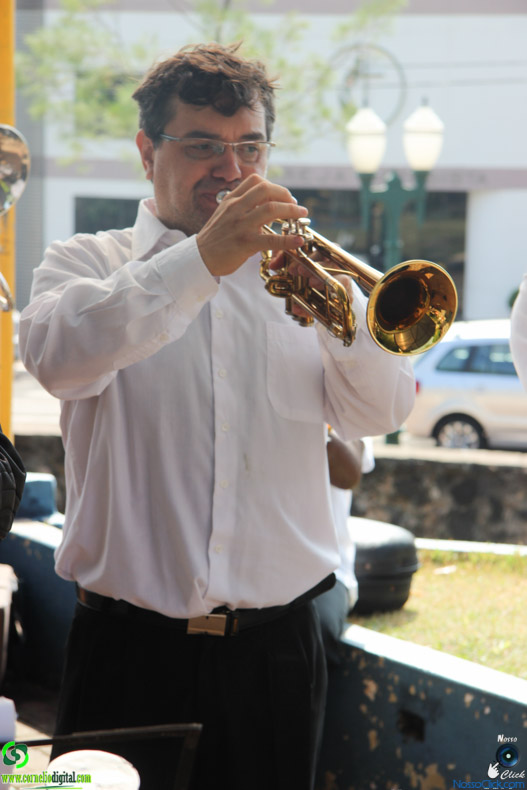 IMG_2717.jpg