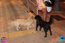 Filename=IMG_2207.jpg
Filesize=222KiB
Dimensions=960x640
Date added=Dec 20, 2017 IMG_2207.jpg