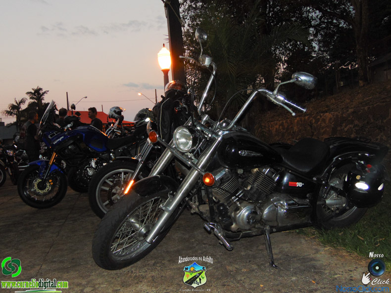 DSC08507.jpg