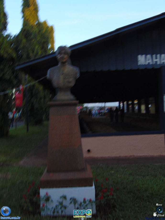 DSC03517.jpg