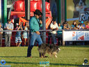DSC03485.jpg
