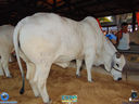 DSC03516.jpg