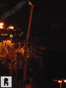 Filename=JDSC05235.jpg
Filesize=358KiB
Dimensions=960x1280
Date added=Jun 18, 2017 JDSC05235.jpg