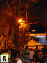 JDSC05237.jpg
