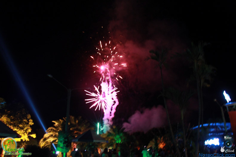 IMG_6465.jpg