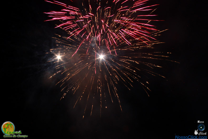 IMG_6503.jpg
