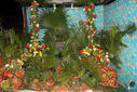 Filename=IMG_6690.jpg
Filesize=306KiB
Dimensions=790x527
Date added=Dec 12, 2017 IMG_6690.jpg