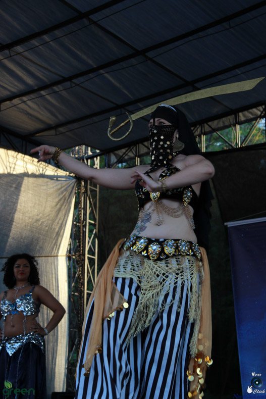 IMG_9050.jpg