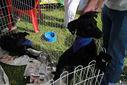 IMG_7141.jpg