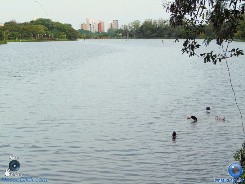 DSC03367.jpg