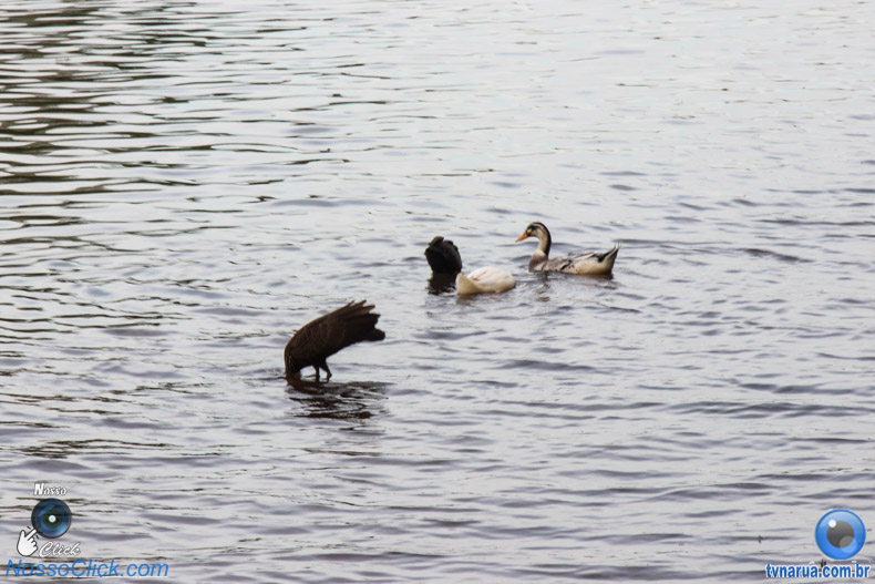 IMG_5833.jpg