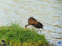 DSC03348.jpg