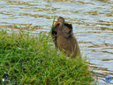 DSC03351.jpg