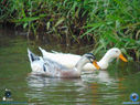 DSC03357.jpg