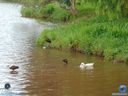 DSC03358.jpg