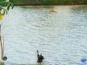 DSC03360.jpg