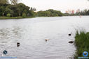 IMG_5839.jpg