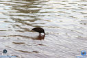 IMG_5840.jpg