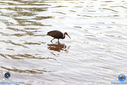 IMG_5841.jpg