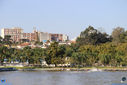 IMG_7412.jpg