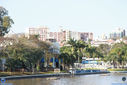 IMG_7423.jpg