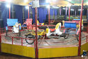 IMG_2641.jpg