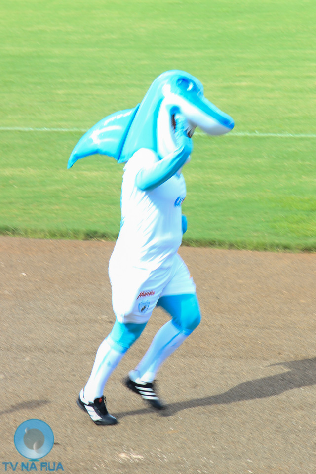 IMG_8779.jpg