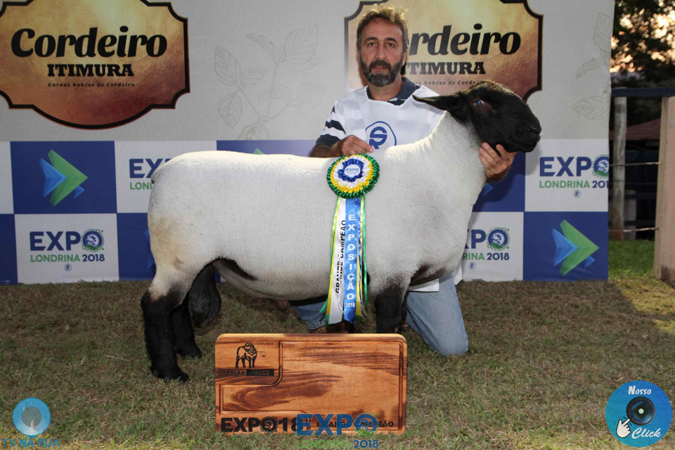 10-04-2018_Julgamento_Ovinos_18.jpg