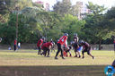 Filename=IMG_7103.jpg
Filesize=353KiB
Dimensions=960x640
Date added=May 07, 2018 IMG_7103.jpg
