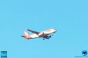 IMG_8036.jpg