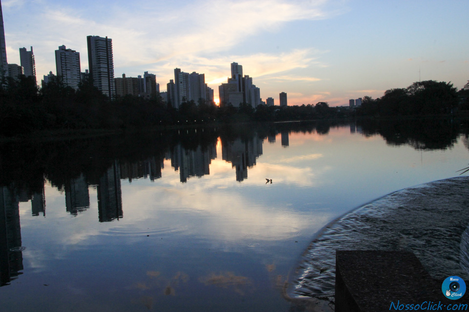 IMG_7884.jpg