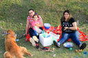 IMG_7803.jpg