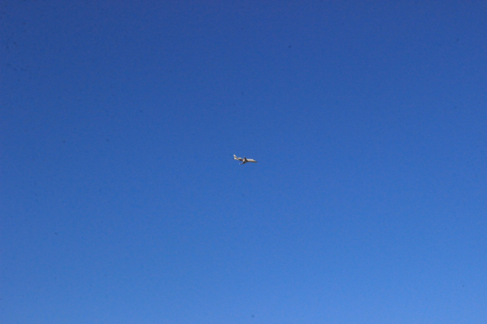 IMG_4865.jpg