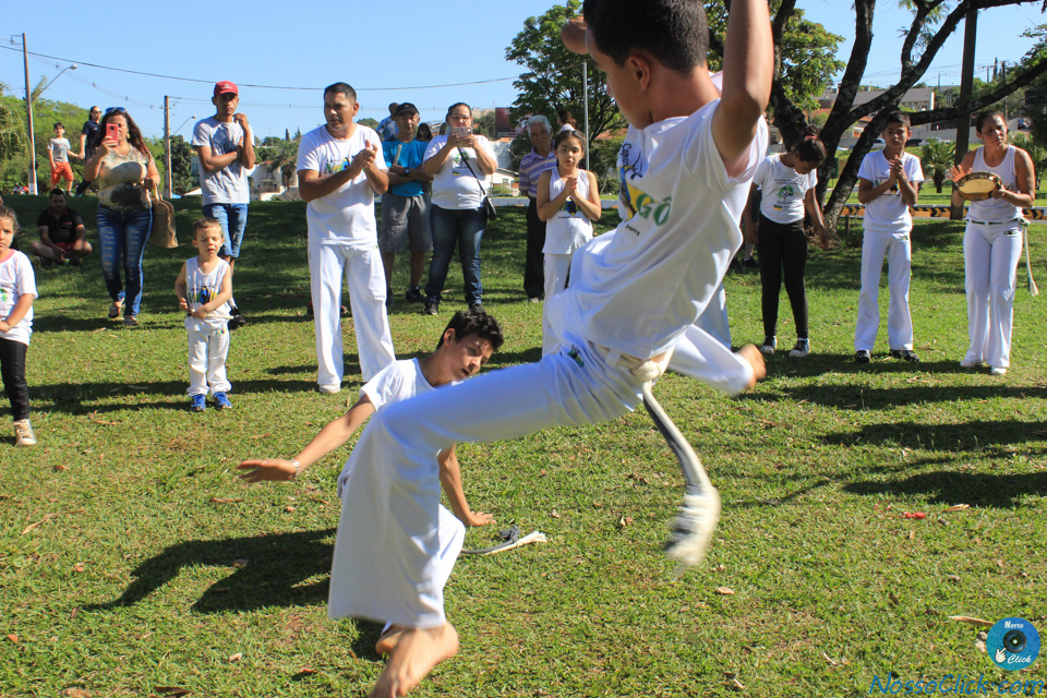 IMG_8745.jpg