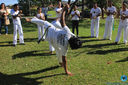 IMG_8736.jpg
