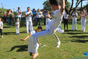 IMG_8745.jpg