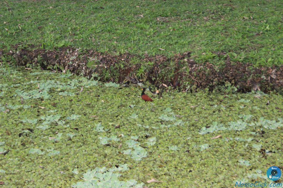 IMG_9962.jpg