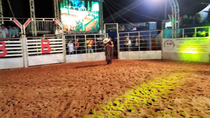 20180914_220426.jpg