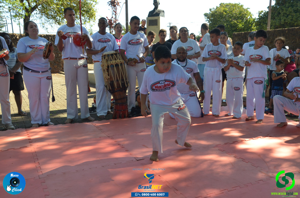 DSC_1391.jpg
