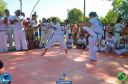 DSC_1065.jpg