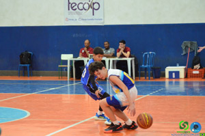DSC_6567.jpg