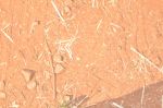 DSC_6892.jpg