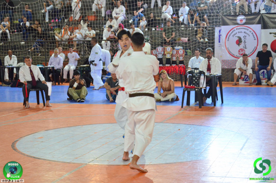 DSC_2956.jpg