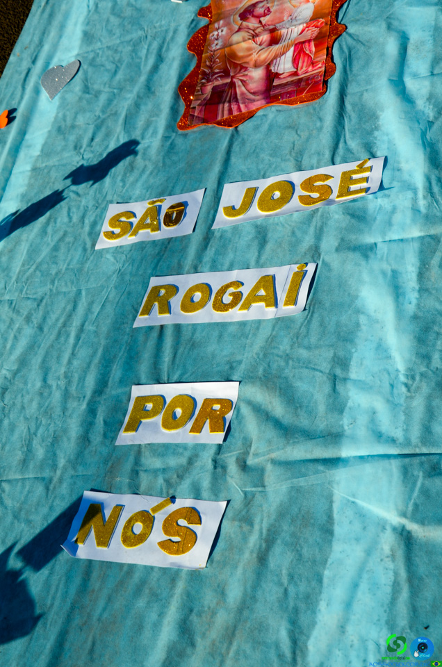 DSC_6209.jpg