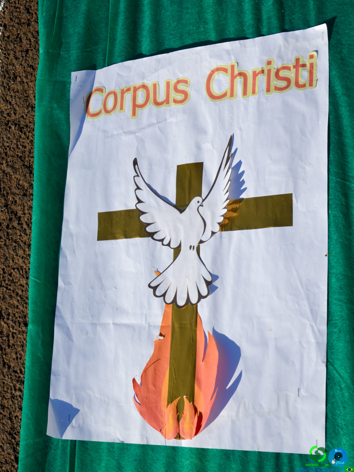 DSC_6295.jpg