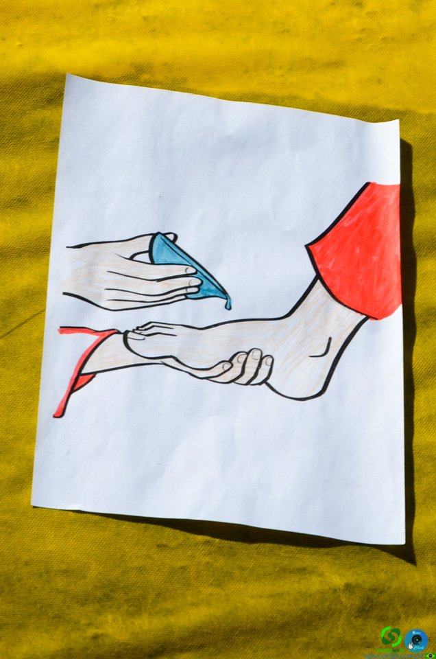 DSC_6513.jpg