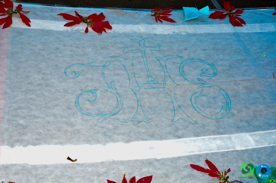 DSC_6686.jpg
