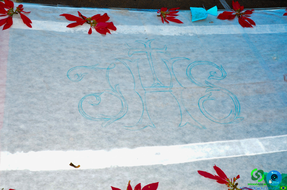 DSC_6746.jpg