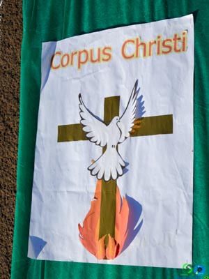 DSC_6295.jpg