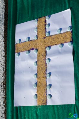 DSC_6301.jpg